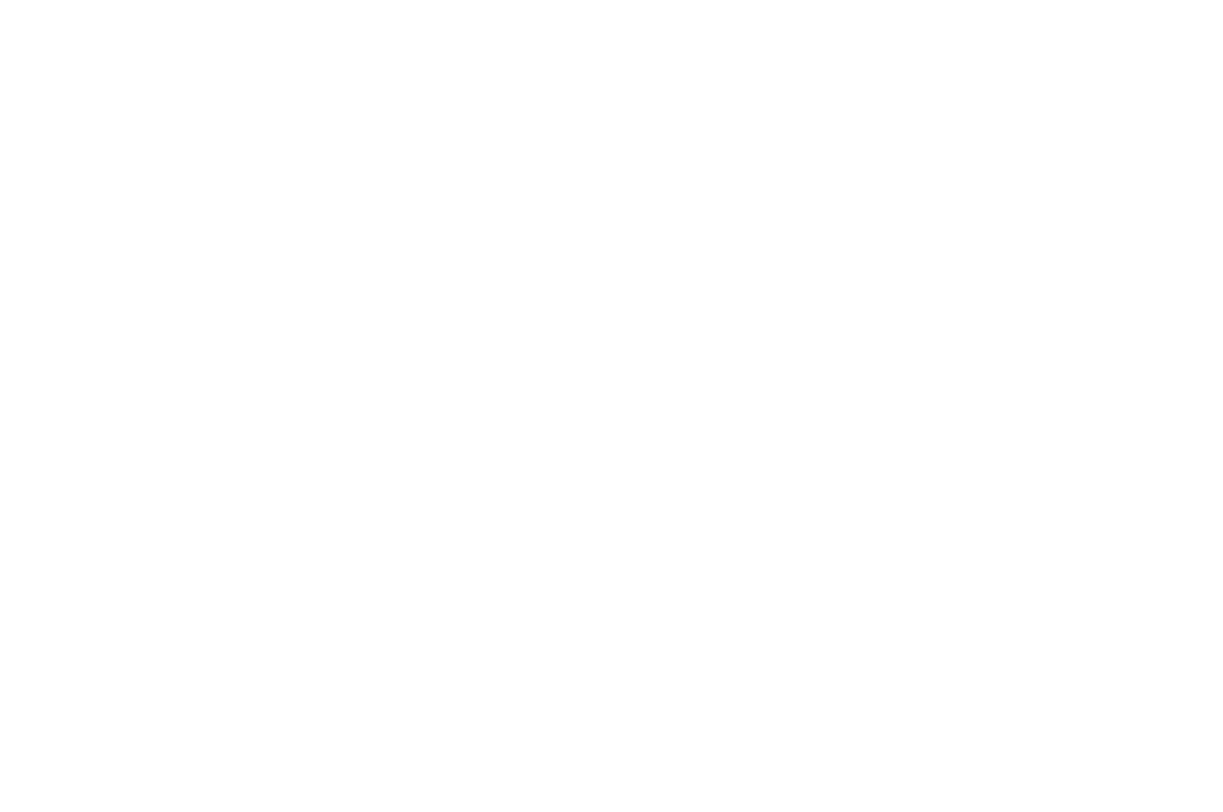 Official Selection